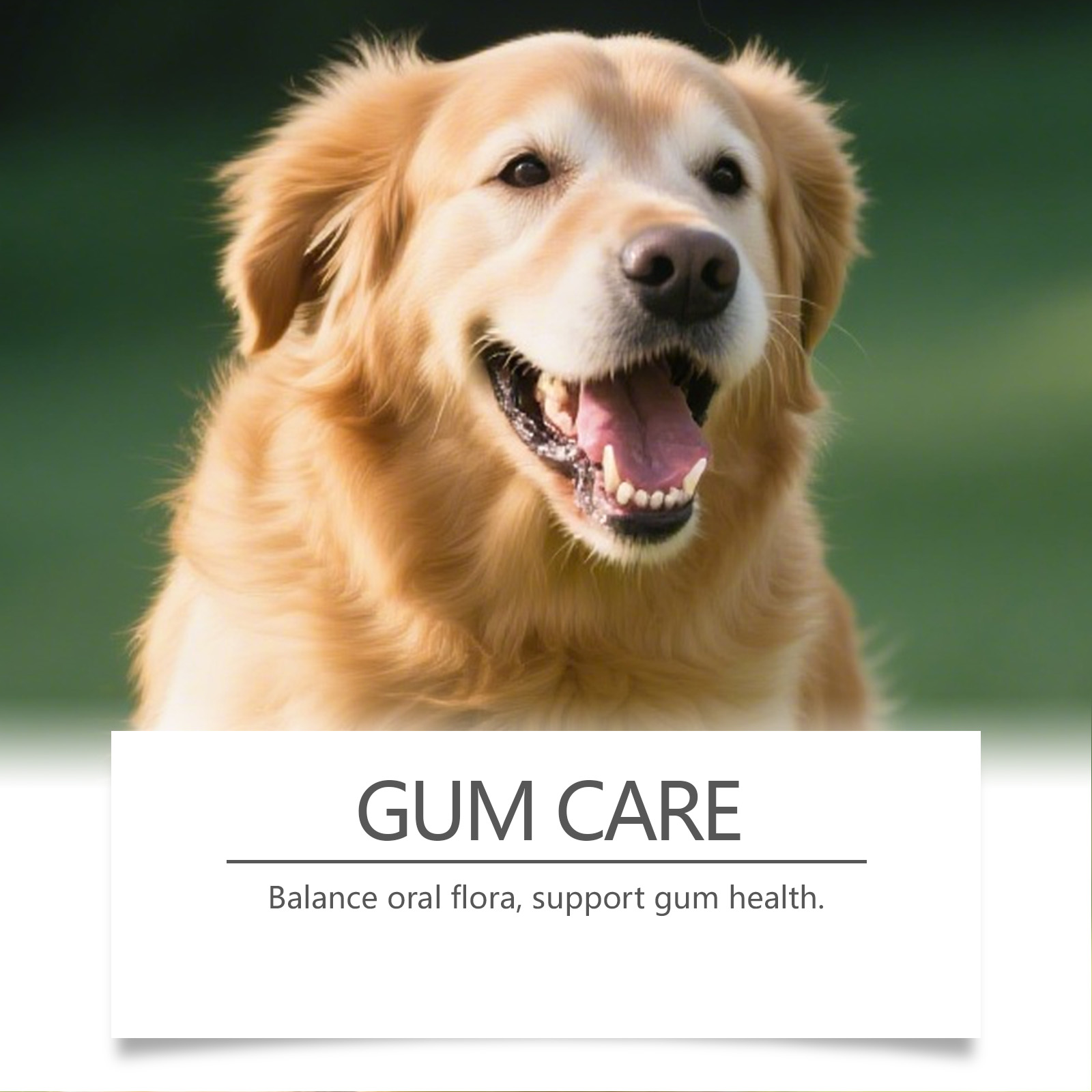 Dog Dental Care Powder Cat Bre - огляд і ціна Teeth Whitening Powder