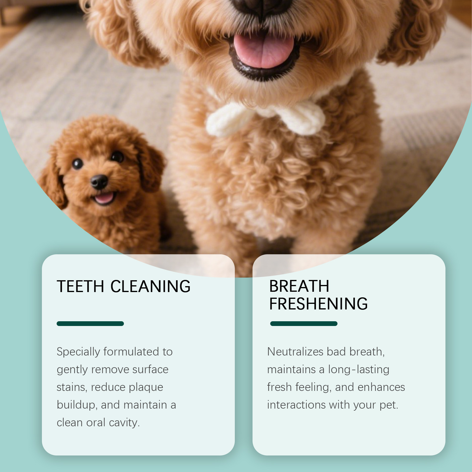 Dog Tooth Cleaning Powder Plaq - огляд і ціна Teeth Whitening Powder