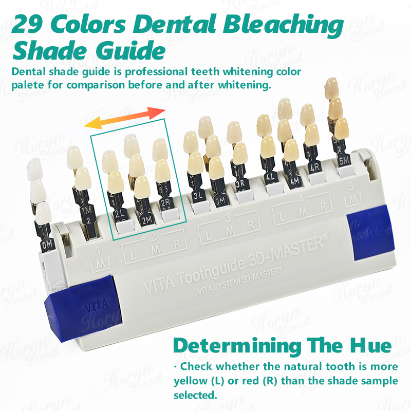 Vita 3D Master Dental Lab Blea - огляд і ціна Teeth Whitening Shade Guide